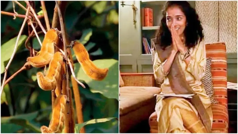 Mumbai में इस वीकेंड के लिए 7 खास अनुभव, बच्चों के लिए कुकिंग और बड़ों के लिए जैज़ म्यूज़िक का मज़ा