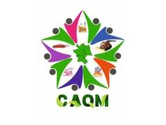 NCR में प्रदूषण पर CAQM सख्त, 245 चेकिंग में 87 उल्लंघन मिले; कई DG सेट सील करने के आदेश