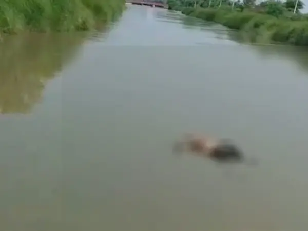 Sultanpur में नहर से मिला मानव कंकाल, 18 जून से लापता Lucknow के युवक की हुई पहचान